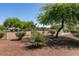 Community dog park offers plenty of space for furry friends to run and play in a safe, enclosed environment at 4439 Scarlet Sea Ave, North Las Vegas, NV 89031