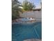 Enjoy the backyard pool and spa, surrounded by mature landscaping at 5717 Blizzard Breeze St, North Las Vegas, NV 89081
