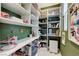This is a well-organized pantry with ample shelving, providing generous storage space at 659 Spotted Falcon St, Las Vegas, NV 89138