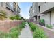 Well-maintained walkway featuring lush landscaping and leading to modern townhomes with gray exteriors at 659 Spotted Falcon St, Las Vegas, NV 89138