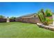 Spacious backyard featuring artificial turf and lush tropical landscaping at 7488 Evening Falls Dr, Las Vegas, NV 89131