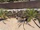 Spacious back yard featuring a rock retaining wall and mature palm trees at 1177 Twinkling Meadows Dr, Henderson, NV 89012