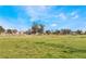 Open grass field with mature trees in residential area at 5121 Backwoodsman Ave, Las Vegas, NV 89130
