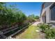 A spacious backyard with a walkway and well-maintained lawn and mature landscaping at 1617 Meadow Bluffs Ave, Henderson, NV 89014
