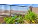 Scenic backyard with mountain views and desert landscaping at 163 Caraset Ln, Henderson, NV 89011
