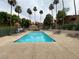 Community pool with lounge chairs surrounded by lush greenery and palm trees, offering a refreshing outdoor space at 220 Mission Catalina Ln # 203, Las Vegas, NV 89107