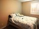 Bedroom showcasing a bed with decorative pillows and a comforter, illuminated by a window with shutters at 2822 Chetco River St, Laughlin, NV 89029