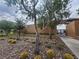Enjoy Central Park's community pool, surrounded by barrel cacti and mature landscaping at 709 Pickled Pepper Pl, Henderson, NV 89011
