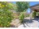 The backyard has several trees and minimal landscaping at 10181 Mount Harlow Ct, Las Vegas, NV 89141