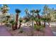 Beautifully landscaped entrance with mature palm trees and desert foliage at 23 E Agate Ave # 308, Las Vegas, NV 89123