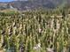 Scenic aerial view of a wooded community nestled in the mountains for outdoor exploration at 4581 Aspen Ave, Mount Charleston, NV 89124