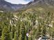 Scenic aerial view of a wooded community nestled in the mountains for nature enthusiasts at 4581 Aspen Ave, Mount Charleston, NV 89124