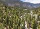 Scenic aerial view of a wooded community nestled in the mountains offering serenity at 4581 Aspen Ave, Mount Charleston, NV 89124