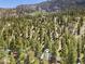 Scenic aerial view of a wooded community nestled in the mountains with an outdoorsy vibe at 4581 Aspen Ave, Mount Charleston, NV 89124