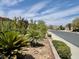 Well-maintained street view featuring lush landscaping and palm trees along the sidewalk at 5147 Progresso St, Las Vegas, NV 89135