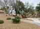 Front yard featuring mature trees, desert landscaping, and a concrete pathway at 5824 Red Gull St, Las Vegas, NV 89149