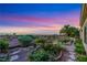 Beautiful backyard with lush landscaping, mature trees, and stunning sunset views at 1637 Wellington Springs Ave, Henderson, NV 89052
