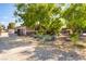 Single story home with desert landscaping including mature trees and yucca plants at 4905 Ricky Rd, Las Vegas, NV 89130