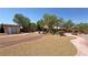 Expansive backyard featuring desert landscaping, mature trees, and a charming storage shed at 4910 Marywood Ct, Pahrump, NV 89061
