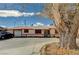 Charming single-story home with a spacious front yard, car, garage, and mature tree offering shade at 111 Narcissus Ln, Las Vegas, NV 89107