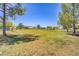 Open field in a park with several mature trees providing shade at 1428 Daybreak Dr, Las Vegas, NV 89108