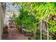 Landscaped backyard with brick pavers, pergola, and privacy foliage at 1115 Melville Dr, Las Vegas, NV 89102