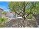 Landscaped backyard with patio area and built-in grill, ideal for outdoor entertaining at 2839 Goldcreek St, Henderson, NV 89052