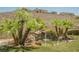 Lush backyard with palm trees, waterfall feature, and well-manicured artificial turf at 40 Stonemark Dr, Henderson, NV 89052