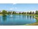Picturesque pond with fountains creating a tranquil scene amidst the lush greenery and distant mountain views at 5341 E La Campana Dr, Pahrump, NV 89061