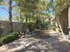 Serene backyard featuring mature trees, manicured shrubs, and a paved patio area at 601 Summer Mesa Dr, Las Vegas, NV 89144