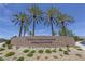 Community entrance sign with palm trees and manicured landscaping at Solera at Stallion Mountain at 6114 Saddle Horse Ave, Las Vegas, NV 89122