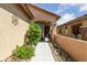 Charming home entrance with decorative plants and well-manicured walkway at 6114 Saddle Horse Ave, Las Vegas, NV 89122