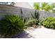 Landscaped backyard with a variety of plants and greenery, creating a private outdoor space at , Las Vegas, NV 89130