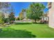 Spacious backyard featuring lush artificial turf, mature trees, and covered patio at 1266 Imperia Dr, Henderson, NV 89052