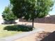 Lush backyard featuring a grassy area, trees for shade, and low maintenance landscaping at 391 Newbury Ct, Henderson, NV 89015