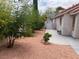 Landscaped backyard with stone covered ground, mature trees, and a covered patio at 9600 Pacific View Dr, Las Vegas, NV 89117
