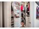 Organized walk-in closet offering shelving, drawers, and hanging space for efficient storage solutions at 11248 Rebel Dome Ct, Las Vegas, NV 89141