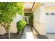 Welcoming front entrance with a charming walkway and manicured shrubbery at 1311 Rolling Sunset St, Henderson, NV 89052