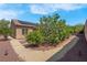 Backyard featuring desert landscaping, solar panels, and a well-maintained lawn at 2144 Mountain City St, Henderson, NV 89052