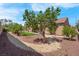 Backyard featuring mature trees, desert landscaping, and manicured lawn at 2144 Mountain City St, Henderson, NV 89052