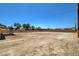 Expansive backyard featuring a mix of desert landscape, mature trees, and secure perimeter fencing at 2315 Lincoln Rd, Las Vegas, NV 89115