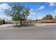 View of a single-story house and its landscaping, surrounded by chain link fence and a large tree at 2528 Sunrise Ave, Las Vegas, NV 89101