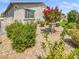 Beautiful backyard featuring colorful flowering tree and well-maintained landscaping at 6312 Conlon St, North Las Vegas, NV 89081