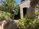 Exterior view of side yard featuring rock landscaping and mature trees at 1146 Olivia Pkwy, Henderson, NV 89011