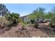 Spacious backyard landscaped with drought-tolerant plants and mature trees, providing privacy and natural beauty at 2188 Cumberland Hill Dr, Henderson, NV 89052