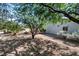Lush backyard featuring mature trees, desert landscaping, and ample shade, creating a tranquil outdoor space at 2188 Cumberland Hill Dr, Henderson, NV 89052