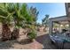 Serene backyard featuring desert landscaping, mature palm trees, and a covered patio area for outdoor relaxation at 2188 Cumberland Hill Dr, Henderson, NV 89052