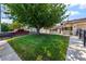 Lush green lawn and shady trees enhance the curb appeal of this home with a gray picket fence at 3463 Haverford Ave, Las Vegas, NV 89121