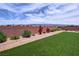 Wide shot of backyard with artificial turf, mature landscaping, and brick wall at 5528 Eleganza Ave, Pahrump, NV 89061