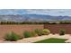 Landscaped backyard showcasing low-maintenance desert landscaping, artificial turf, and a backdrop of scenic mountain views at 5528 Eleganza Ave, Pahrump, NV 89061